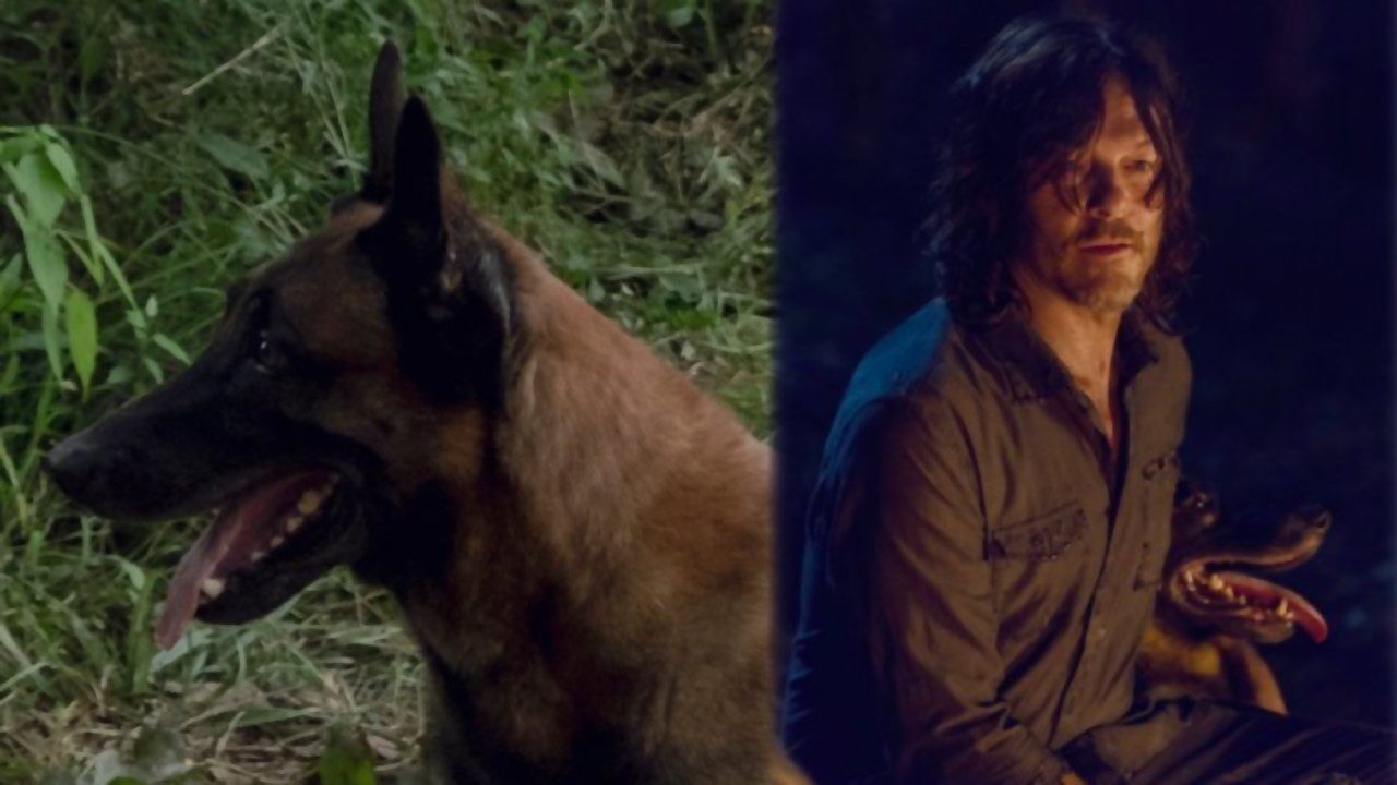 Temporada 9 de The Walking Dead: una petición de los fanáticos para salvar al perro de Daryl
