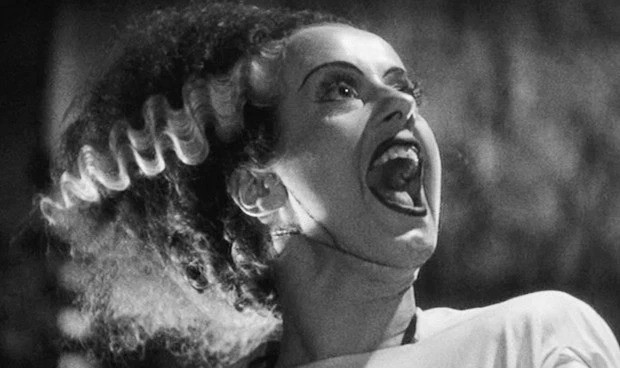 El remake de La novia de Frankenstein podría ser resucitado por Universal, dice el guionista David Koepp