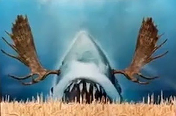 Kevin Smith dice que Jay y Silent Bob ya no aparecerán en su parodia de terror Moose Jaws