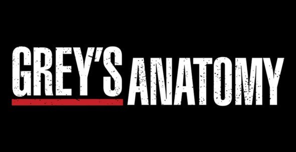 Greys-Anatomy-TV-series-on-ABC-season-13-premiere-cancelado-o-renovado-590x304-1 