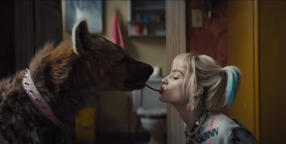 Birds of Prey usó un perro real para darle vida a la hiena de Harley Quinn, revela Margot Robbie