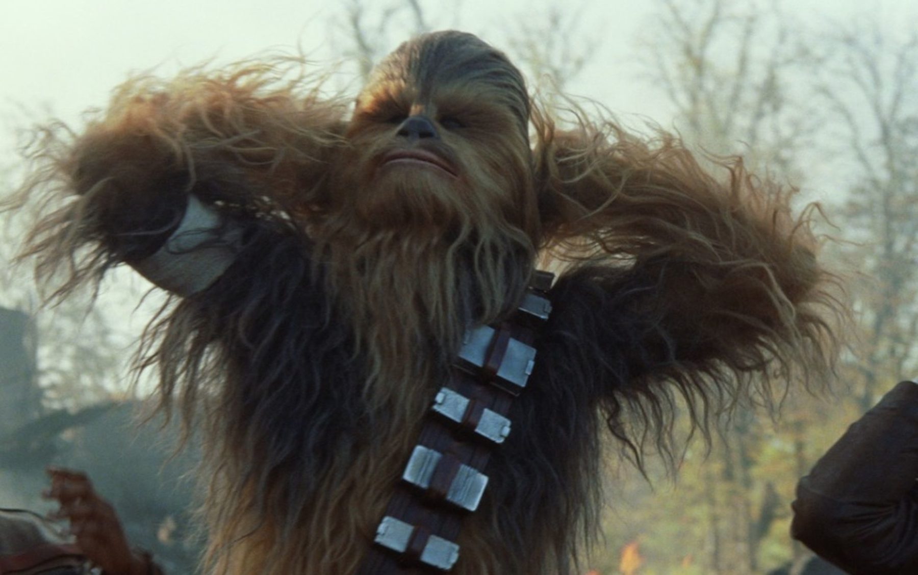 El actor de Chewbacca revela las dificultades de interpretar al popular personaje de Star Wars