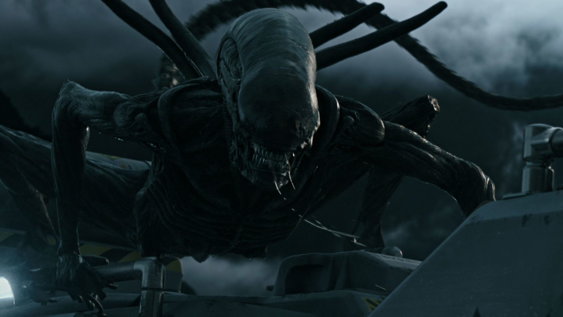 Rumor: ¿Podría un programa de televisión Alien estar a punto de estallar en un servicio de transmisión?