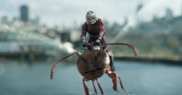 Peyton Reed es muy "esperanzado" de que habrá un Ant-Man 3