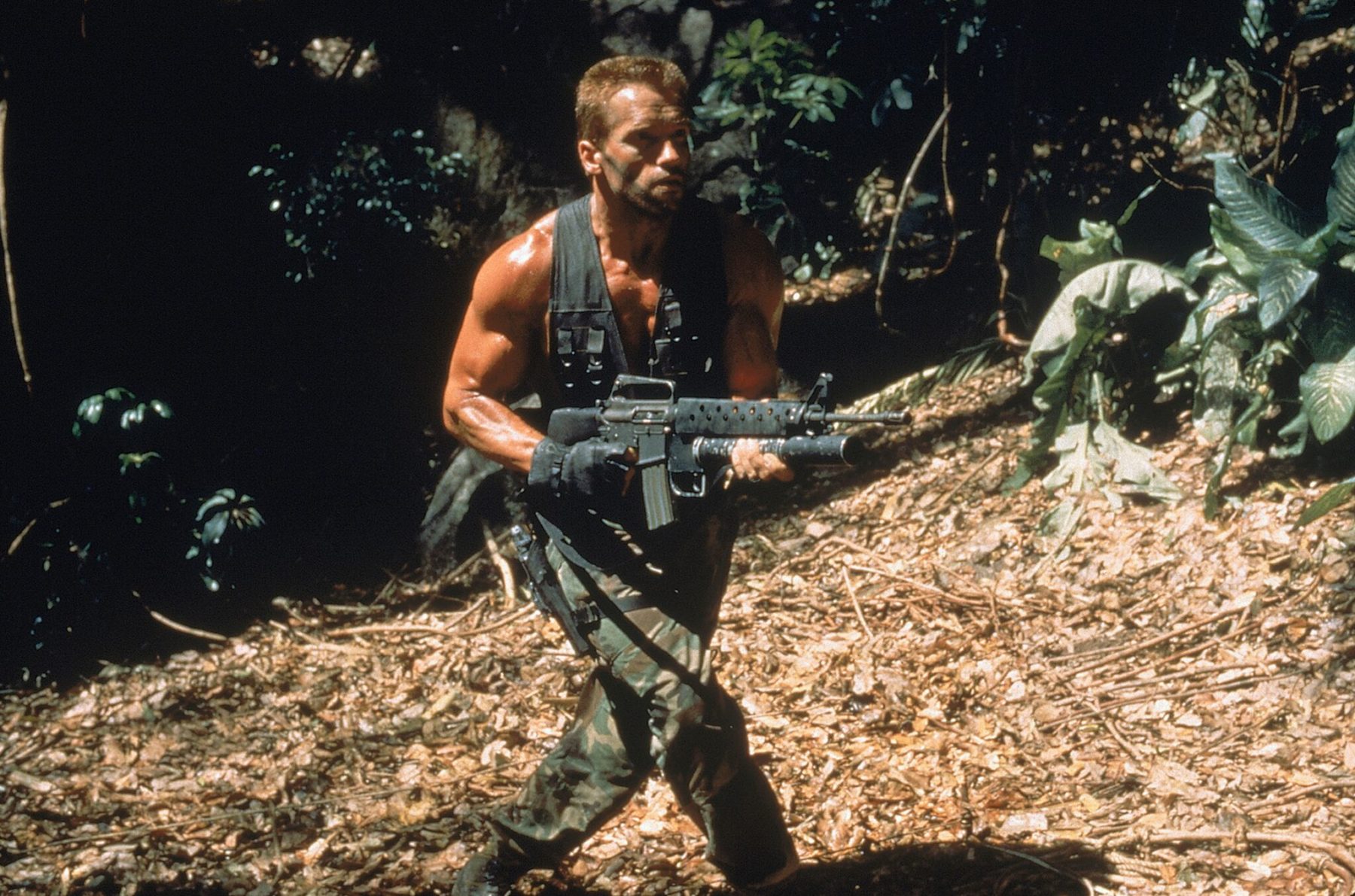 Shane Black sobre Arnold Schwarzenegger rechazando el cameo de Depredador