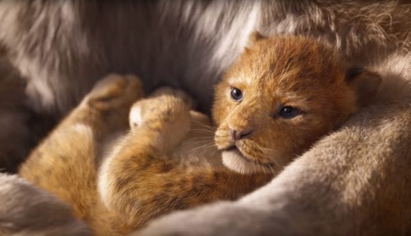 Lion-King-teaser-Simba-600x345 