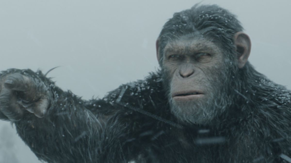 El director de la película New Planet of the Apes se burla del seguimiento de la trilogía: