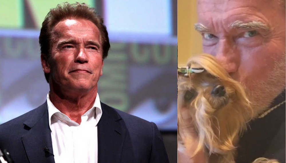 Arnold Schwarzenegger muestra en un tutorial cómo exterminar el coronavirus