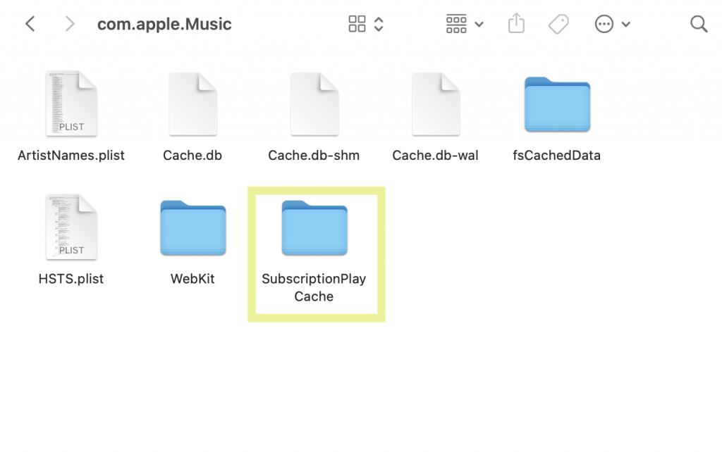 Carpeta Apple Music Cache