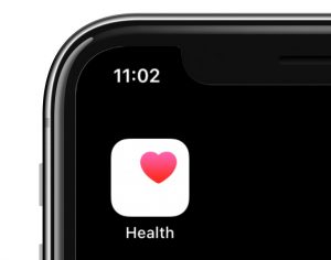 health app icon on iPhone