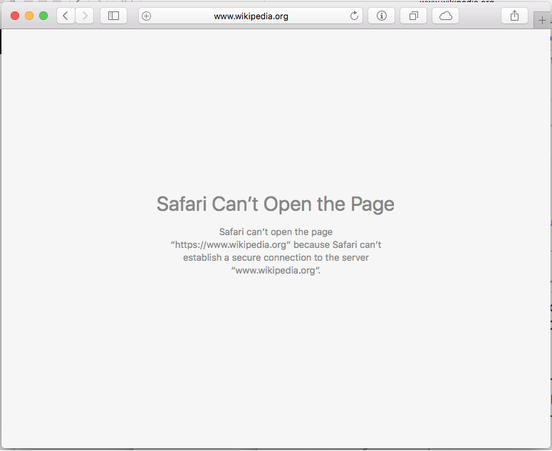 Safari can't establish a secure connection to the server error