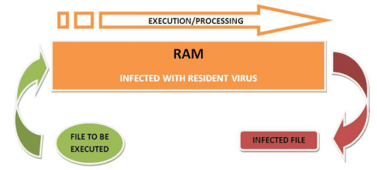 Tipos de Virus Informáticos - Residente en Memoria
