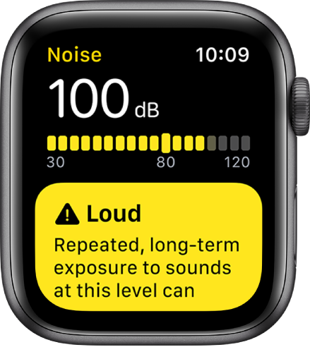 The Noise app alerts me when the ambient noise level reaches dangerous levels.