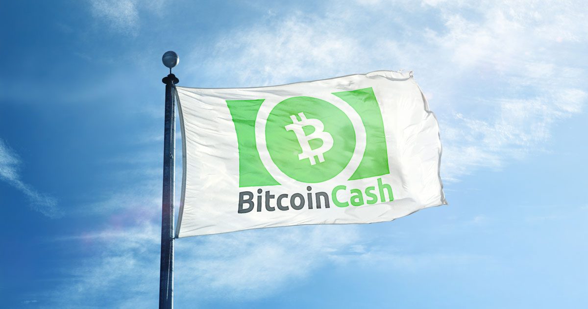 Bitcoin efectivo en una bandera