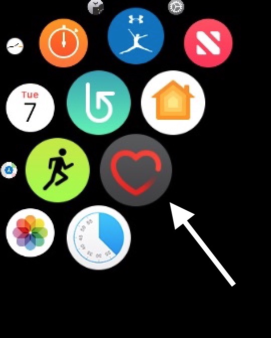 Ícono de la aplicación Heart en Apple Watch