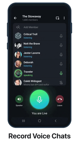 Características de Voice Chat 2.0 Telegram