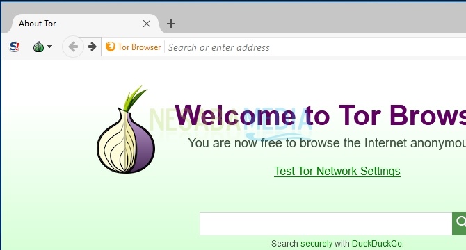 Ventana del navegador Tor