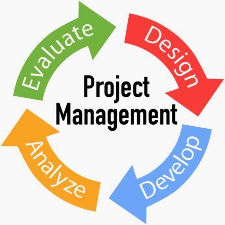Etapas de la gestión de proyectos