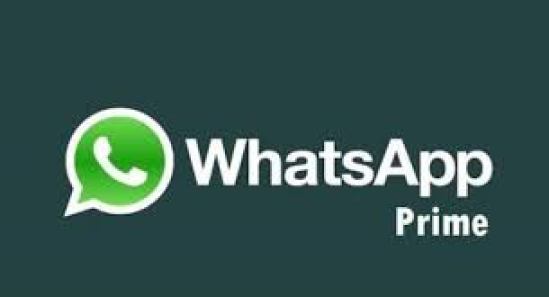 whatsapp primera apk