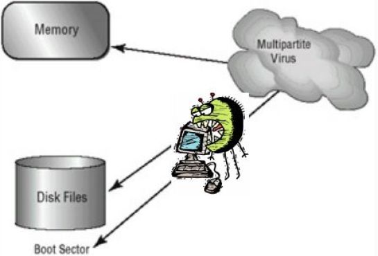 Tipos de Virus Informáticos - Multipartito
