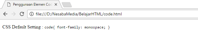 Usando etiquetas de código en html