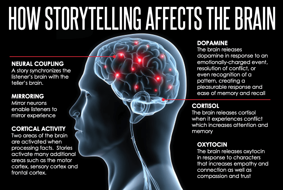 cómo la narración afecta al cerebro