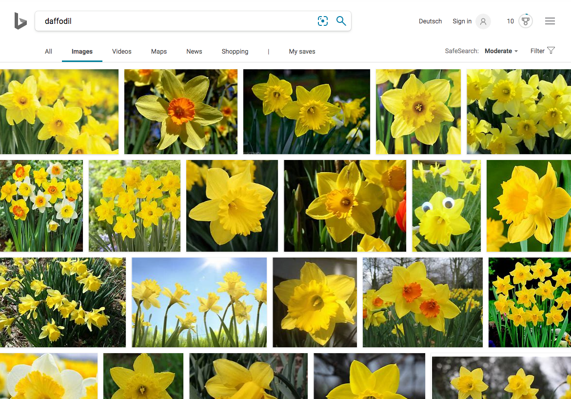 mejor buscador de imagenes Bing
