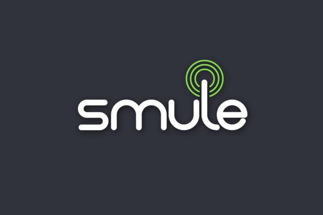 2 formas de descargar videos de Smule en teléfonos Android, ¡elija la forma que desee!