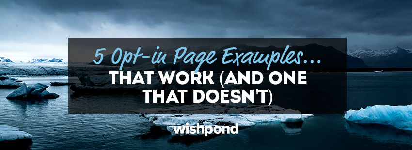 5 Opt-in Page Examples that Work (and 1 That Doesn't)