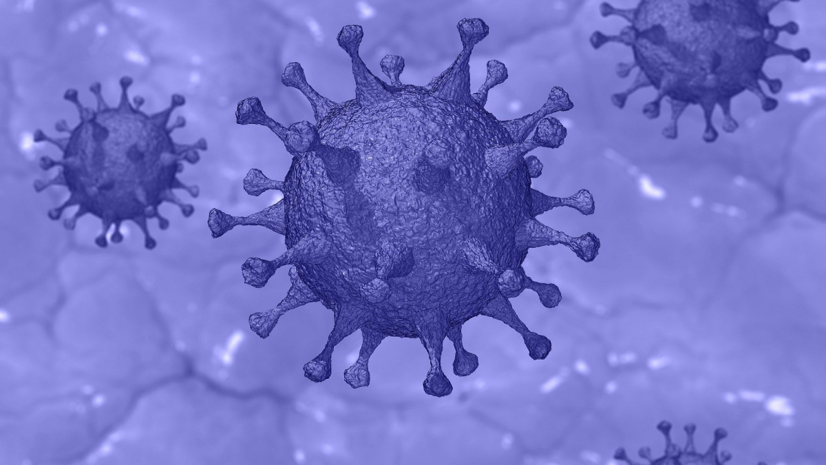 Cómo detectar y evitar noticias falsas sobre el coronavirus