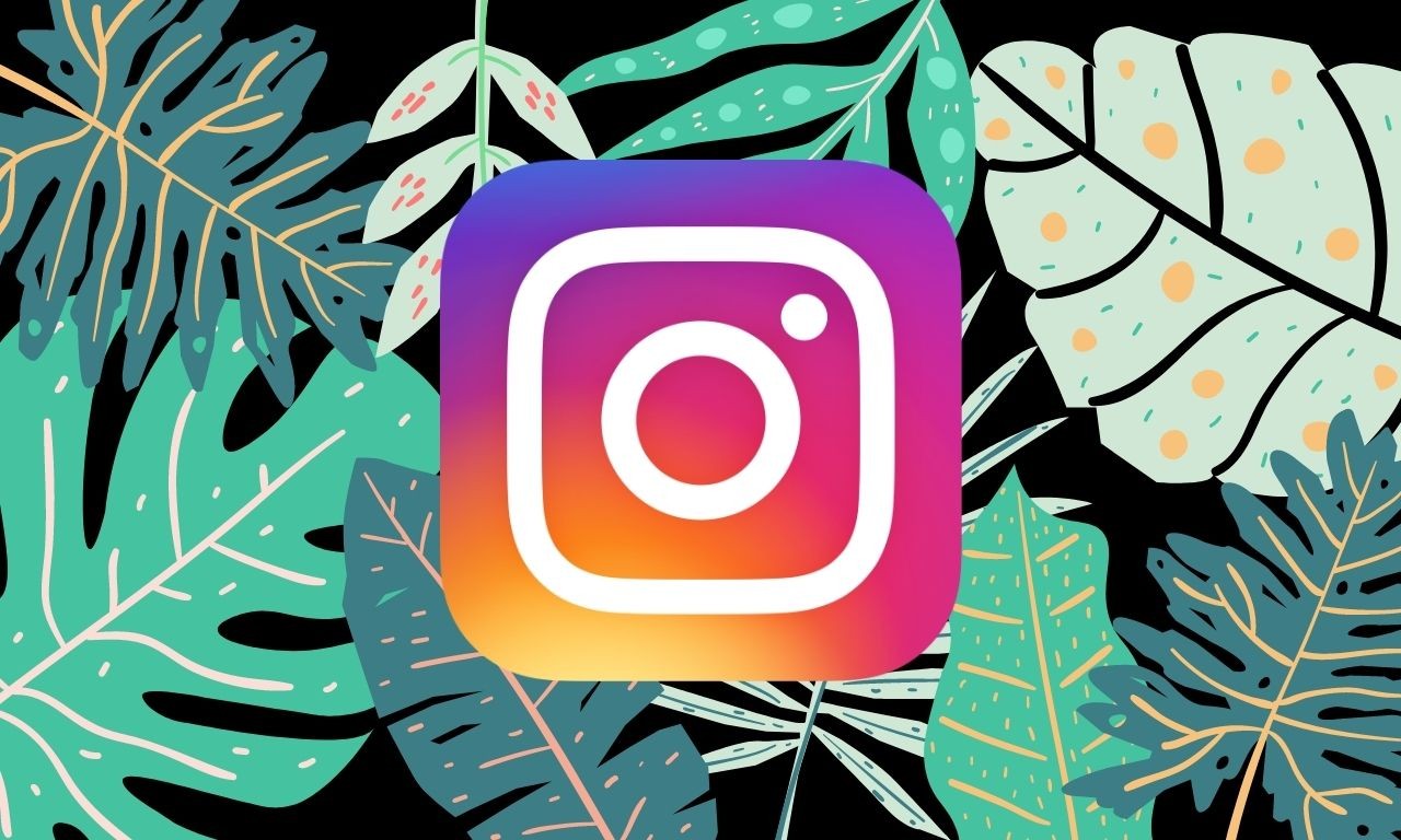 Cómo guardar o descargar carretes de Instagram en la galería de su teléfono, rollo de cámara o almacenamiento