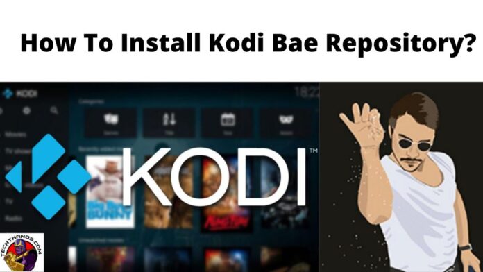 Cómo instalar el repositorio de Kodi Bae: Guía de ayuda
