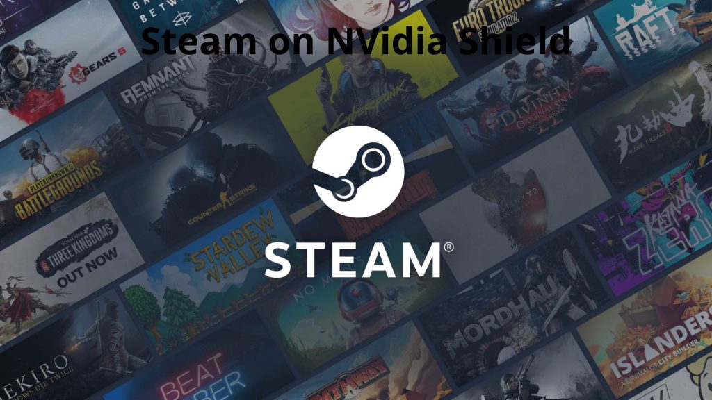 Cómo jugar Steam en NVidia Shield: análisis detallado