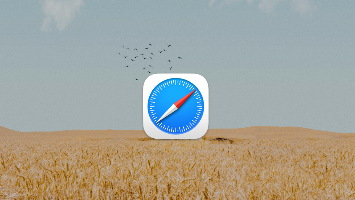 Cómo obtener y activar las extensiones de Safari en tu iPhone y iPad