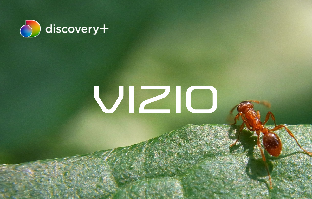 Cómo ver Discovery Plus en Vizio Smart TV