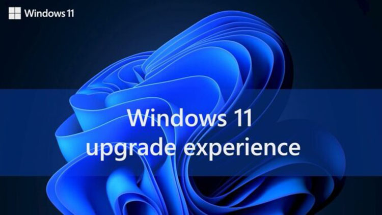 Con Online Service Experience Packs, Microsoft ofrece actualizaciones de funciones de Windows 11 por separado