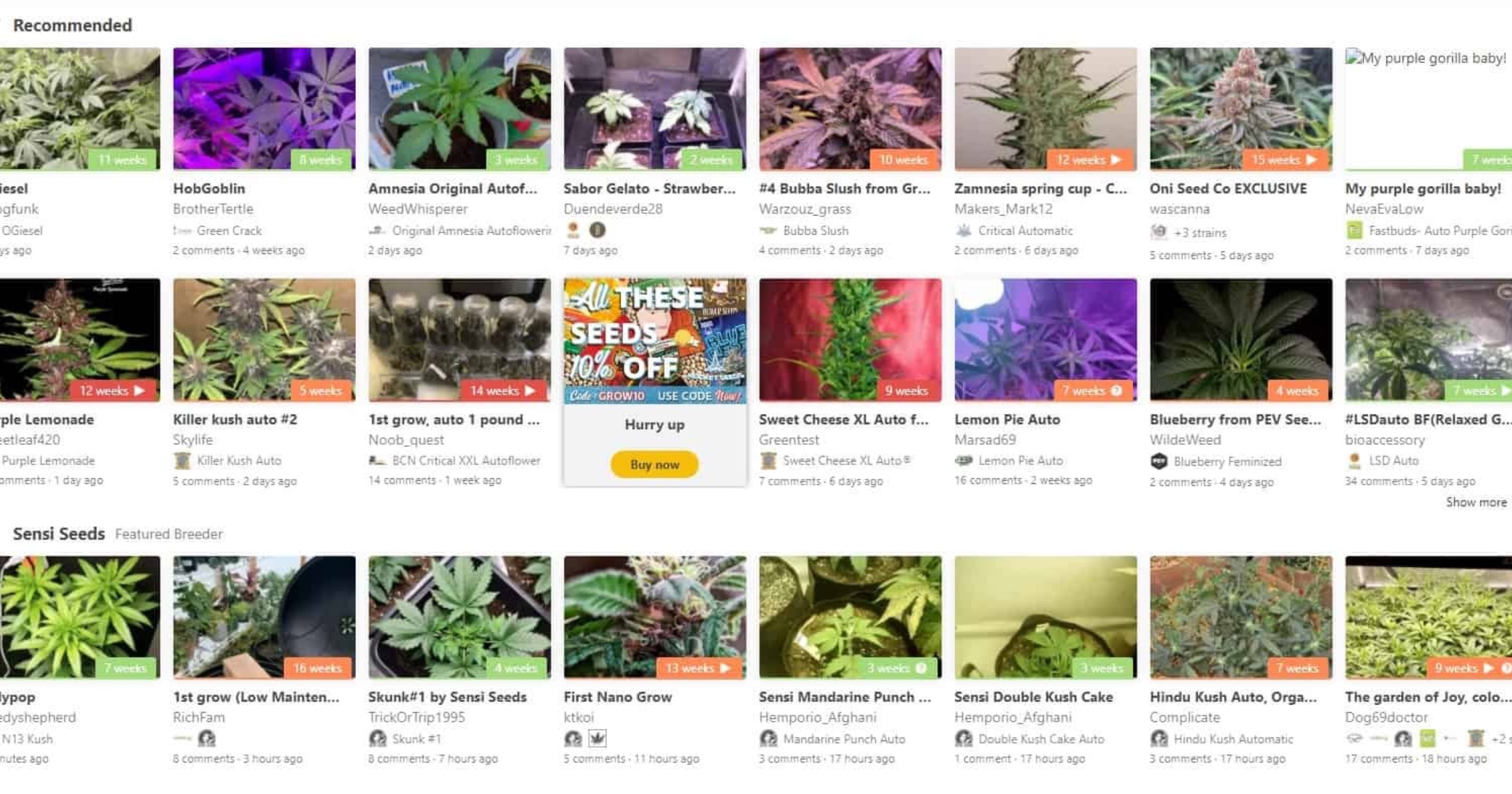 Datos de usuario expuestos del sitio web de marihuana 'GrowDiaries'