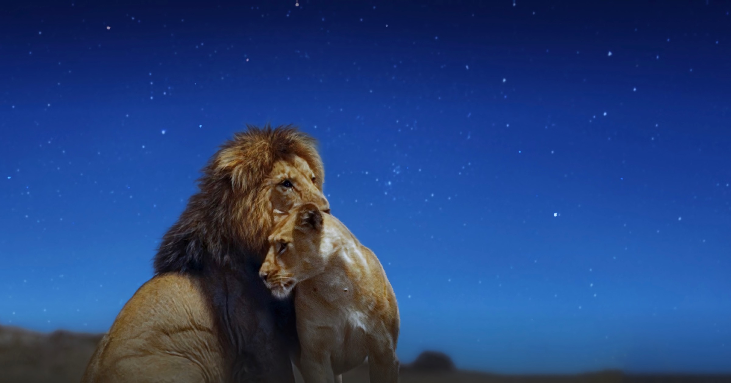 Two lions in earth at night in color