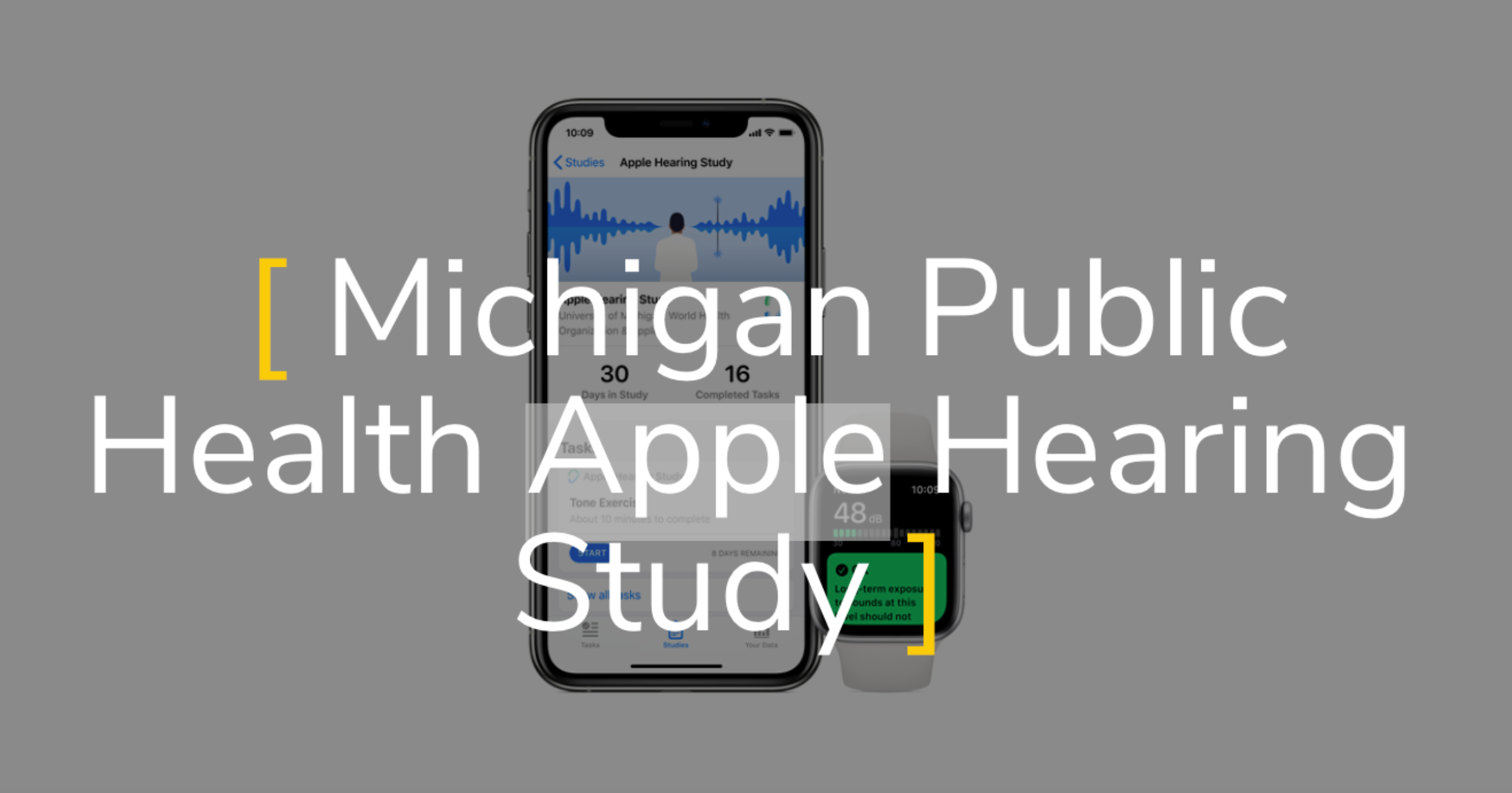 Michigan Public Health Apple Hearing Study