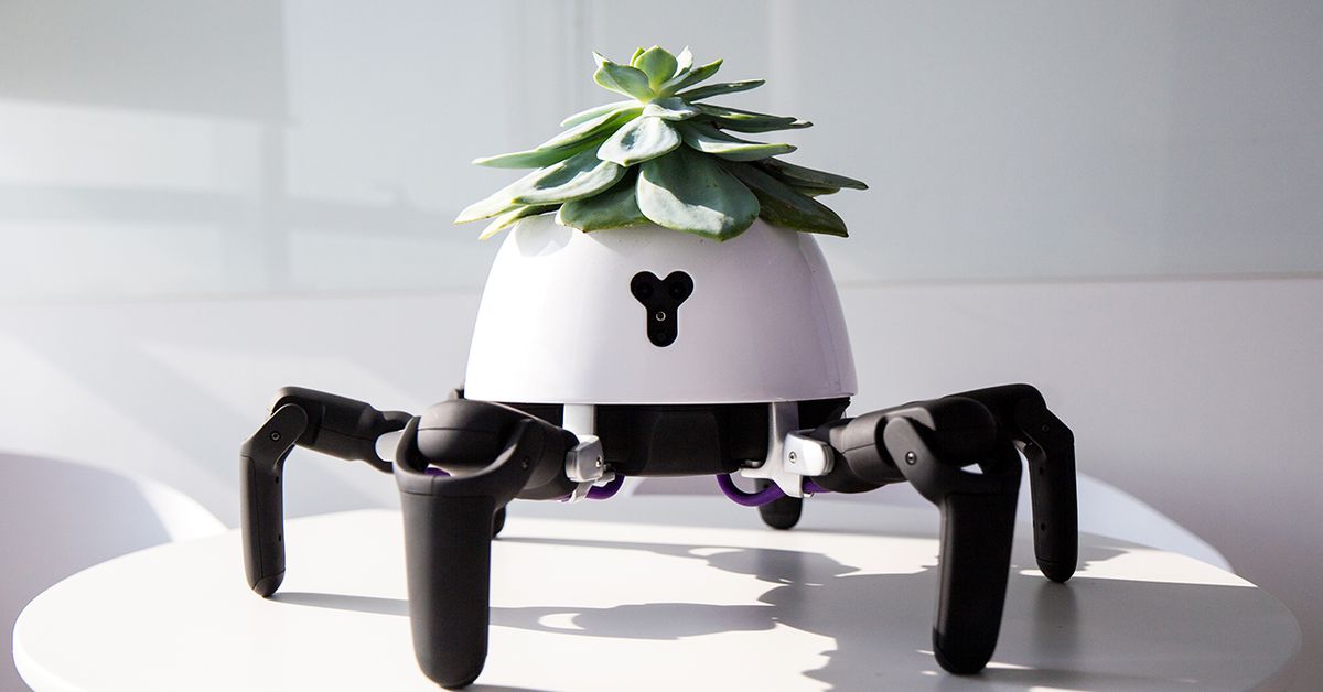 Este robot jardinero persigue la luz del sol