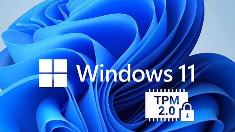 Este script puede omitir los términos de instalación de Windows 11