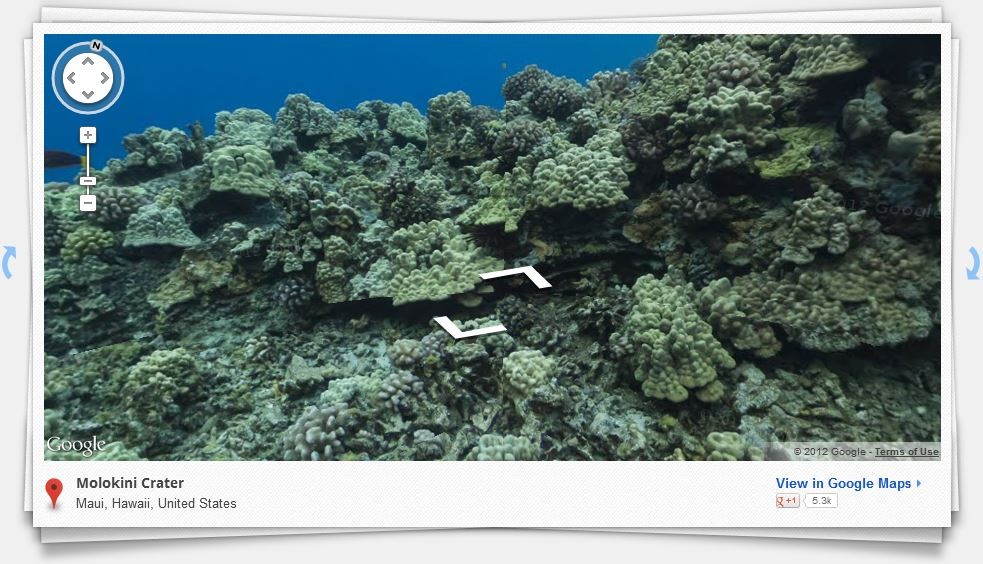Google Maps se sumerge, recomienda comenzar con la impresionante Gran Barrera de Coral