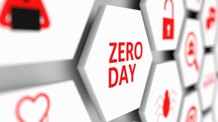 Google comparte PoC Zero Day en Windows 10 Graphics RCE