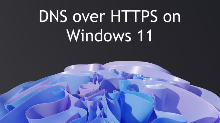 Habilitación de la función DNS sobre HTTPS en Windows 11