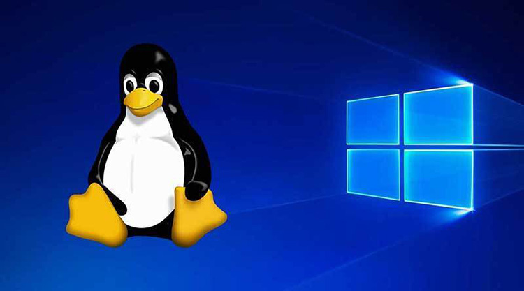 La ambición de Microsoft de 'truecar' Edge a Linux y aplicaciones GUI de Linux a Windows