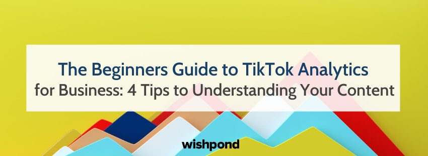 The Beginners Guide to TikTok Analytics for Business: 4 Top Tips