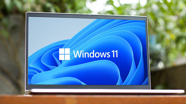 La página de actualización de Windows indica la compatibilidad con Windows 11