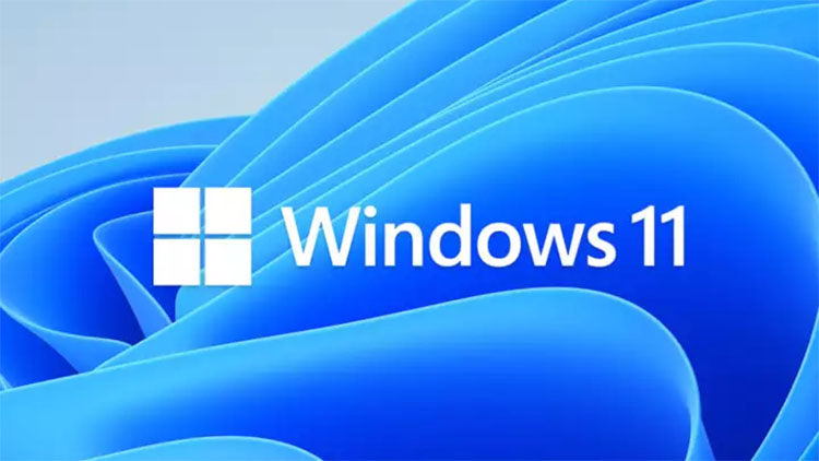 Las aplicaciones nativas de Windows 11 necesitan Internet cuando se ejecutan por primera vez