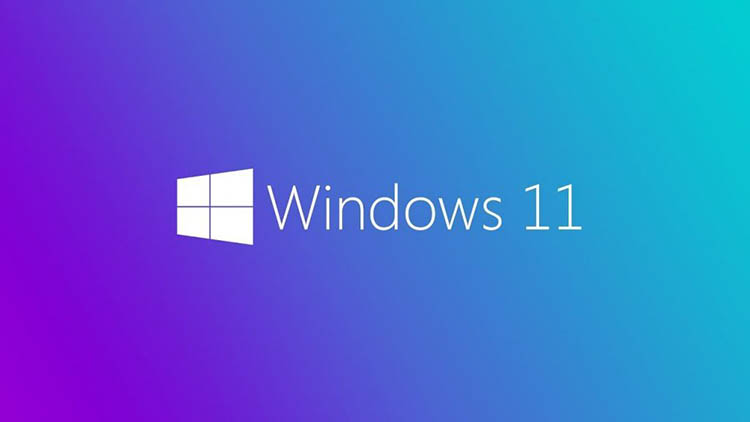 Lo que los usuarios esperan de la presencia de Windows 11