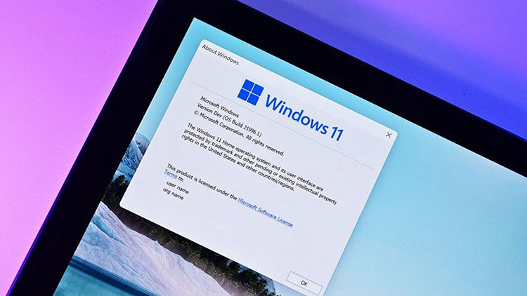Los usuarios de Windows 11 Insider podrían quedarse atrapados en el canal de desarrolladores